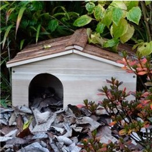 Greenkey- Hedgehog House